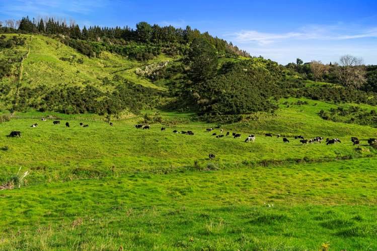 892d Welcome Bay Road Papamoa_20