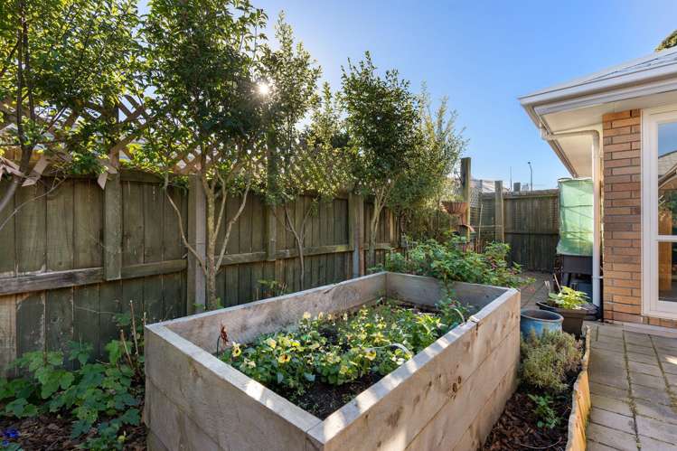 9/446 Ferry Road Woolston_11