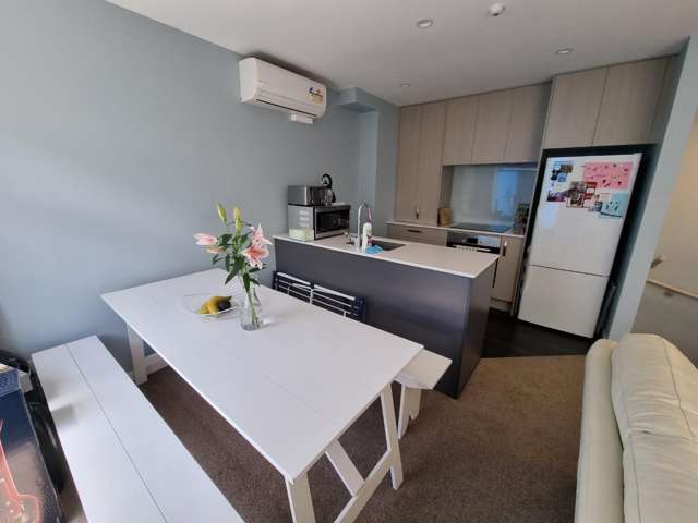 12/5 Ebor Street Te Aro_3