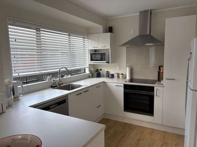 146C George Street Tuakau_2