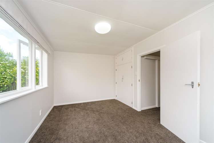 9 Bull Street Bulls_12