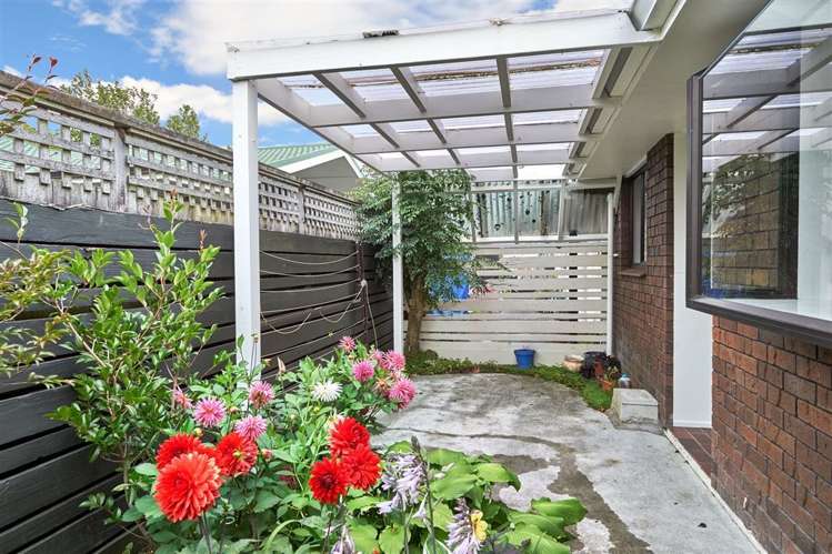 311c Fitzherbert Avenue West End_15