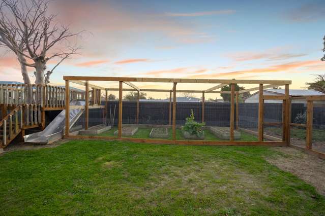 17 Winchester Street Awapuni_1