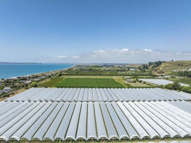 Thurley Place Bay View_1