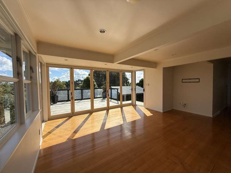 98 Tender Road Dairy Flat_14