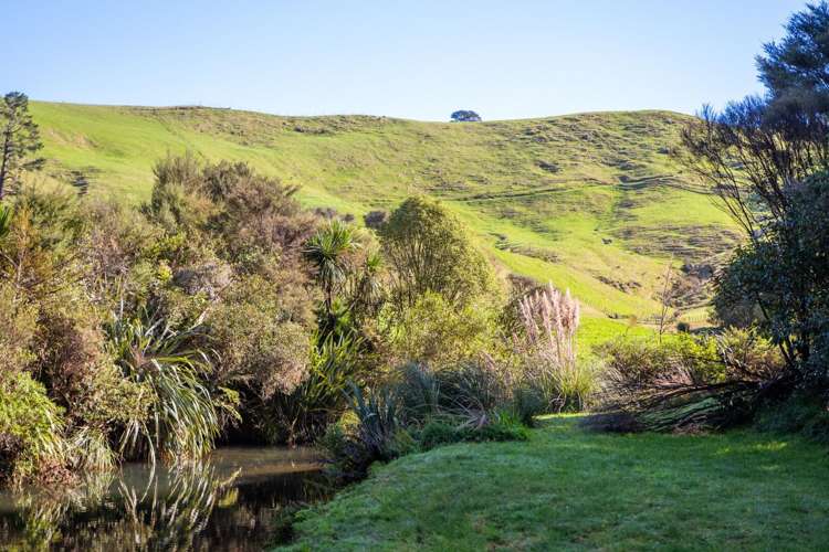 8 Ridge View Place Waihi_38