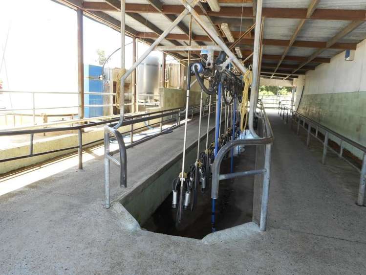 193 Victoria Road Devonport_7