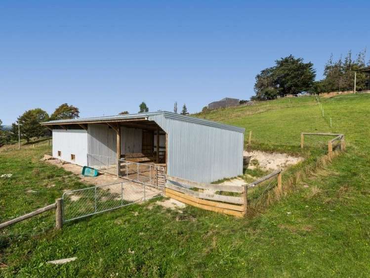 939 Berwick Road Berwick Forest_13