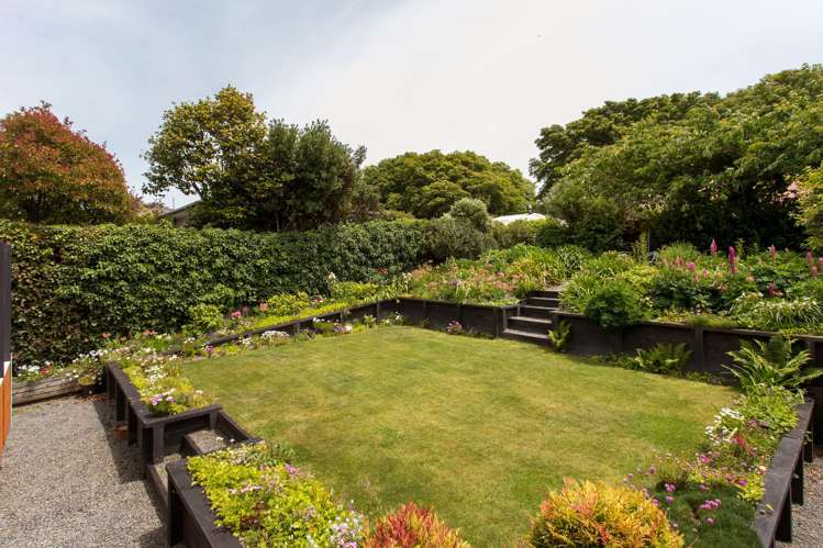 22a Darley Street Somerfield_22