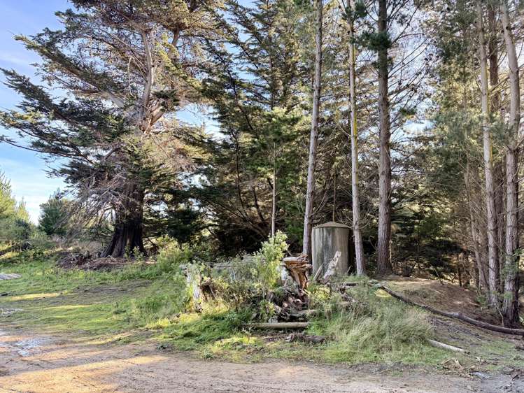 Shag Point Road Palmerston_12