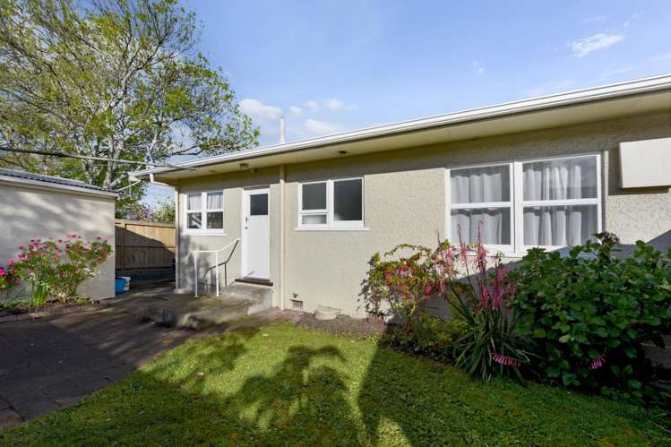 165 Nayland Road Stoke_14