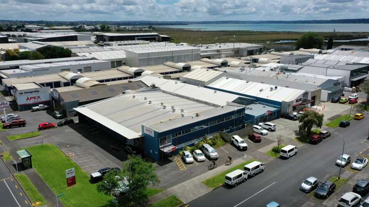 367 Rosebank Road Avondale_7