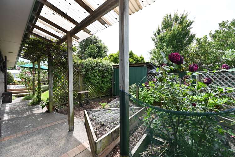 17 Sutherland Street Tamatea_19