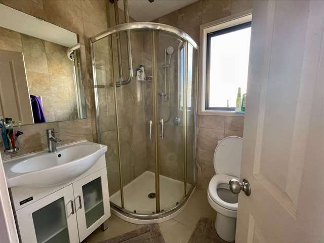 96 Sunvue Road Glen Eden_4