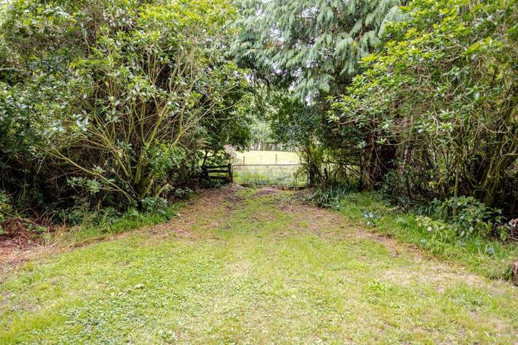 406 Top Grass Road Dannevirke_18