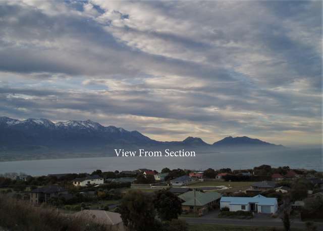 2 Lookers On Lane Kaikoura_1