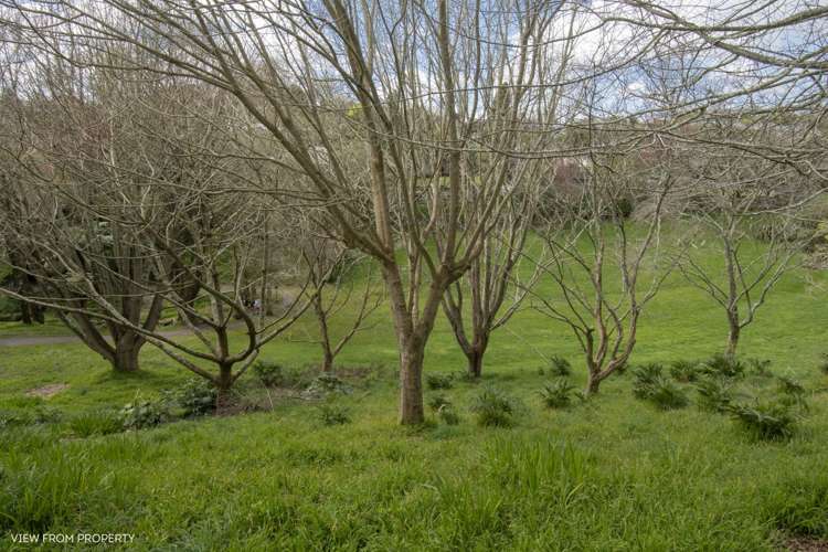 22 Honeysuckle Lane Ohauiti_22