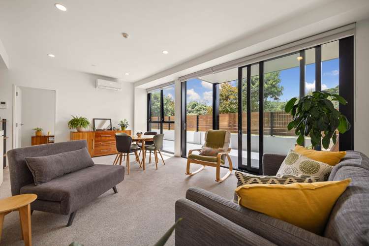 16/189g College Road Stonefields_7