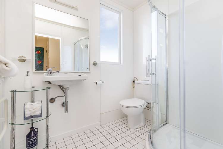 8 Beere Haven Steps Seatoun_19