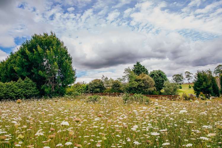 133 Valencia Lane Kerikeri_20