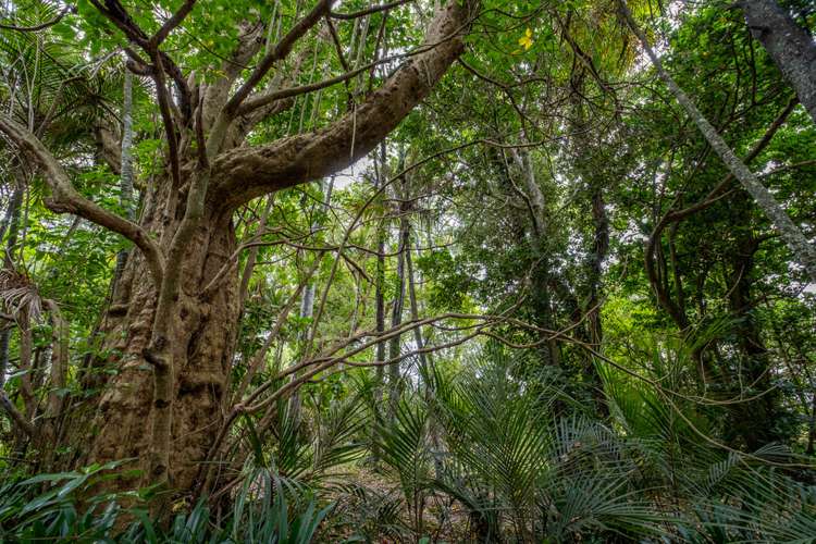 514 Gill Road Kaitaia_24