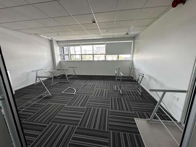 42 George Street Mt Eden_2