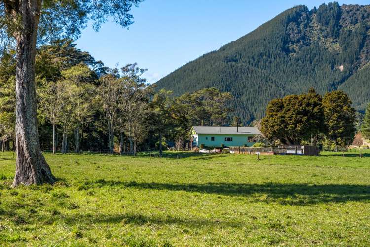 561 Opouri Road Rai Valley_26