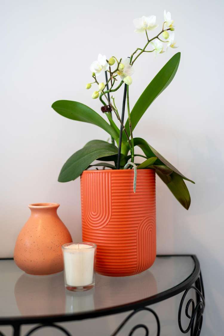 61 Browning Street Leamington_13