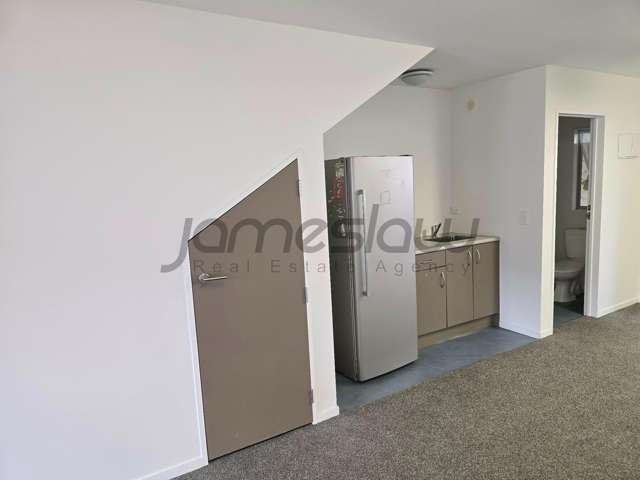Ground Floor/241R Rosedale Road Albany_3