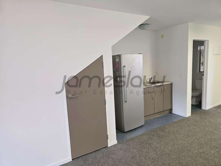 Ground Floor/241R Rosedale Road Albany_3
