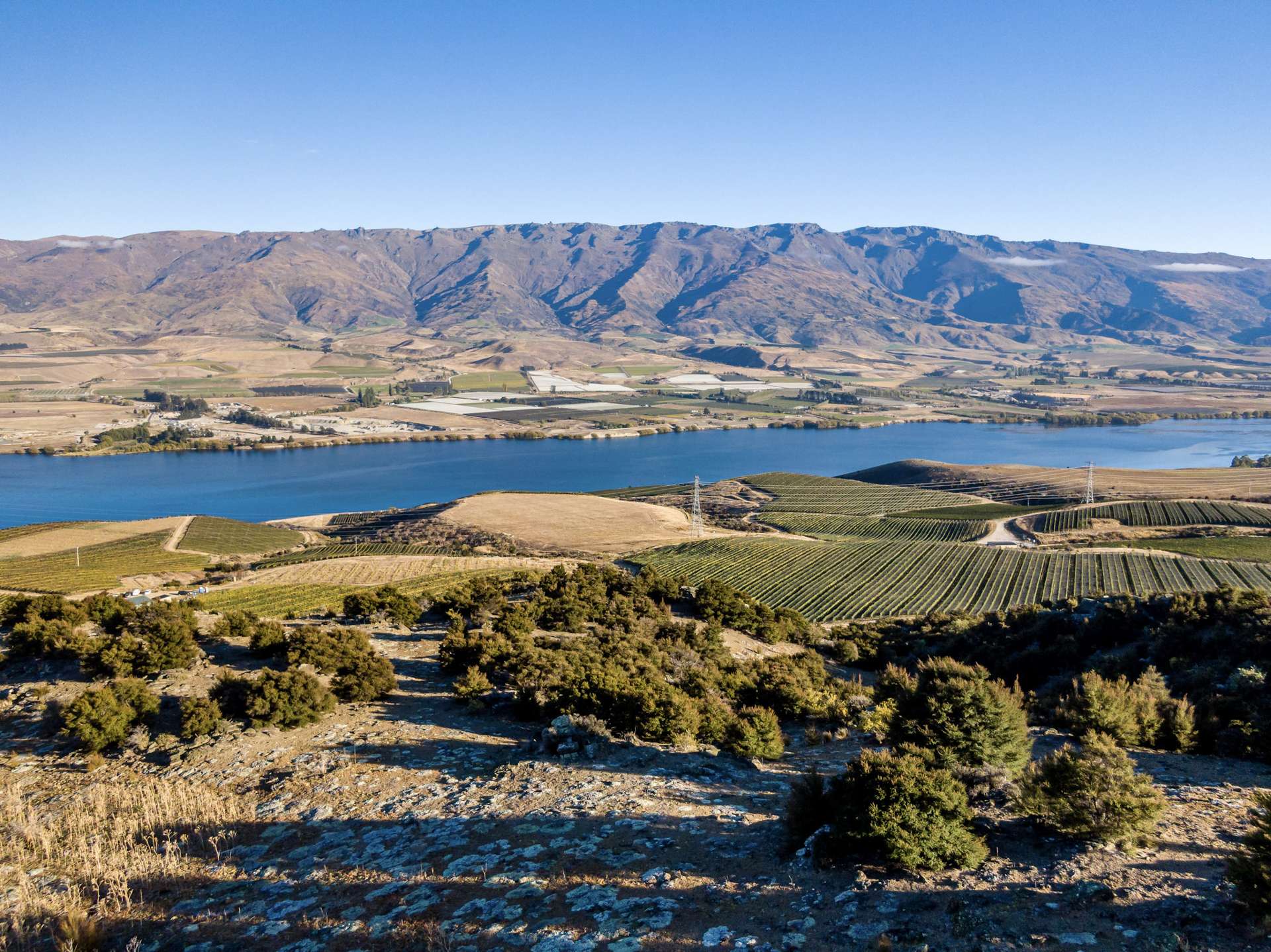 Lakefront Terrace Road Cromwell Central Otago Rural Property For