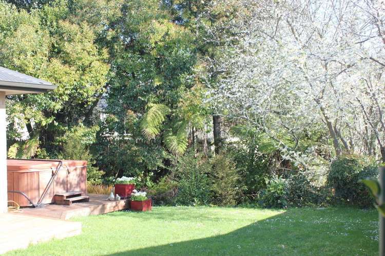 15a Gordonton Road Chartwell_23