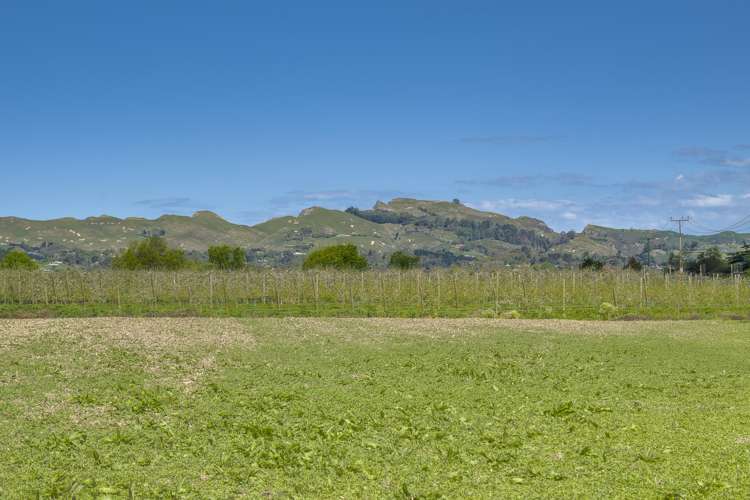 St Georges Road (Lot 4 DP 20205) Havelock North_5