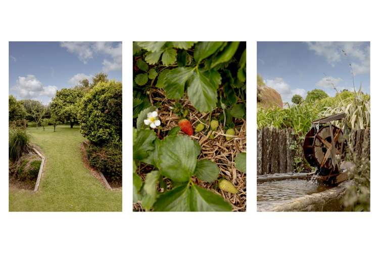 565c Upper Ohauiti Road Ohauiti_22