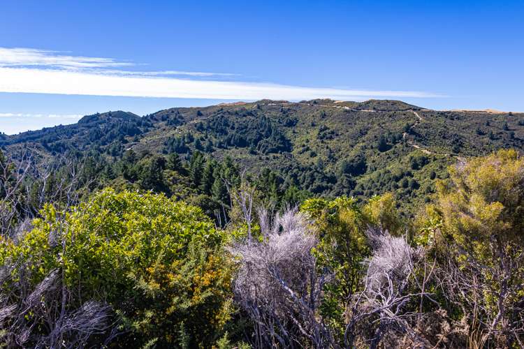 Ngahape Road Masterton_2