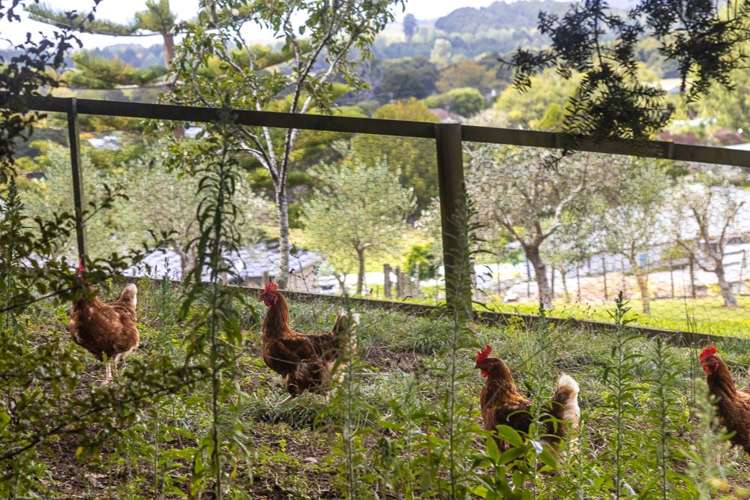 1071 Tauhoa Road Kaipara Flats_27