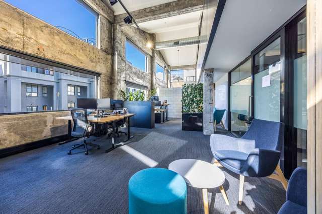 5 Eglon Street Parnell_3