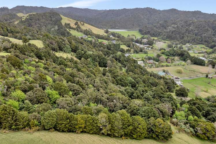 197 Whau Valley Road Whau Valley_28