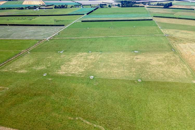 87 Hekeao Road Mesopotamia_21