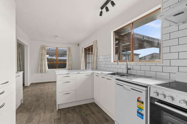 156 Portsmouth Road Flaxmere_1