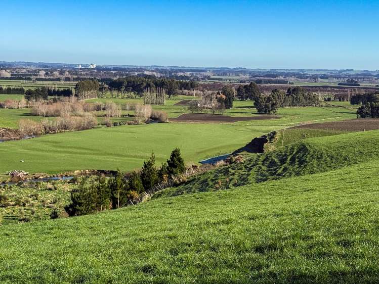 125B Davidson Road Mimihau_20