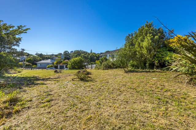 78 Fraser Avenue Johnsonville_2