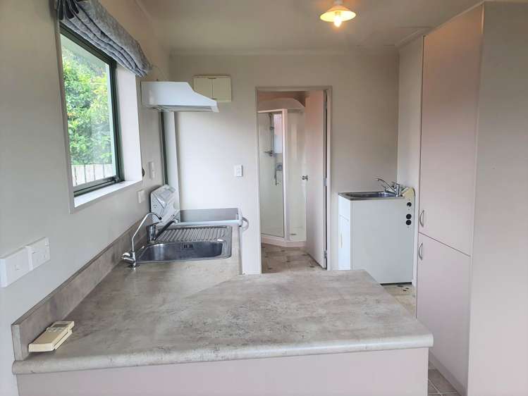 142 College Road Edgecumbe_20