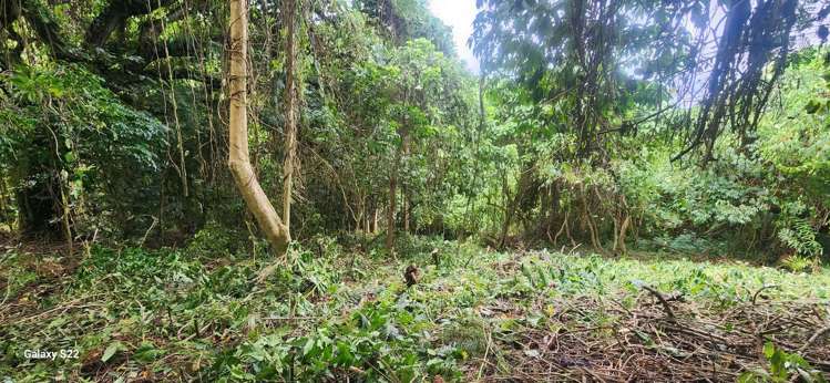Lot 11 Raintree Estate, Oneva Savusavu_7