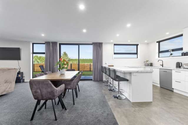 45 Ashbury Drive Tinwald_2