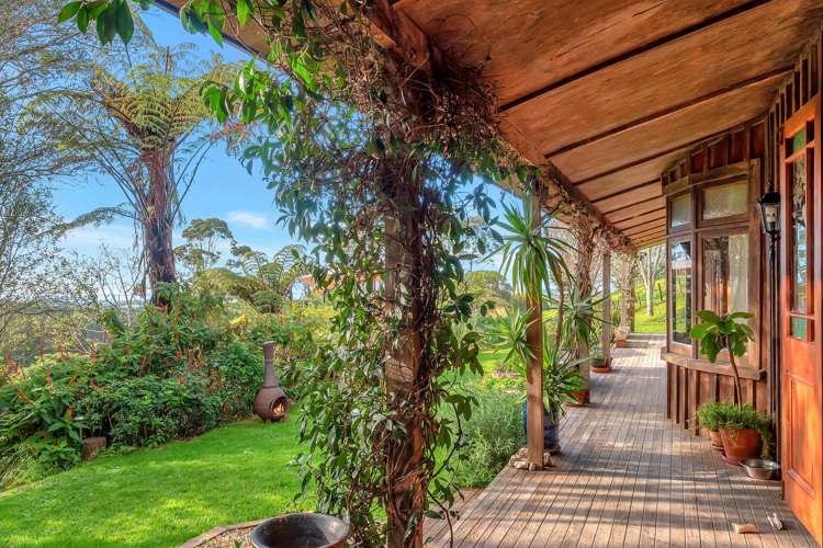 399 Wainui South Road Whakamarama_4