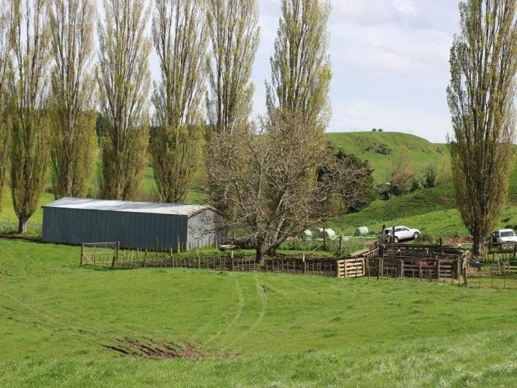 196 Hildreth Road Arapuni_5