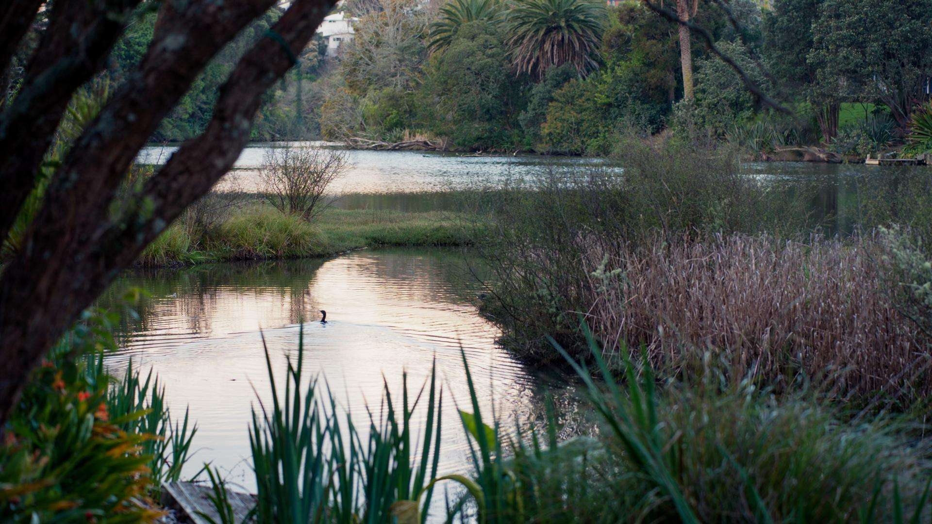 75A Ngapuhi Road Remuera_0