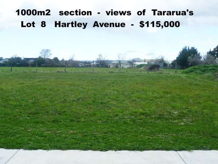 21 Hartley Avenue Carterton_0