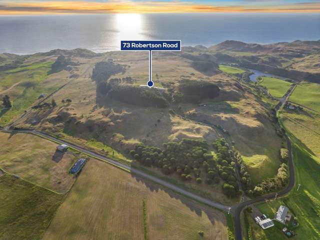 73 Robertson Road Otaua_2